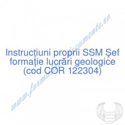 Şef formaţie lucrări...