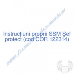 Şef proiect (cod COR...