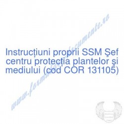 Şef centru protecţia...