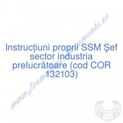 Şef sector industria...