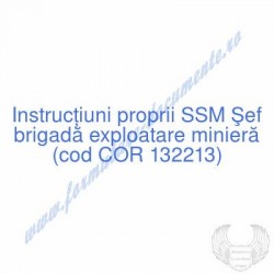 Şef brigadă exploatare...