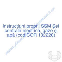 Şef centrală electrică,...