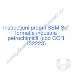 Şef formaţie industria...