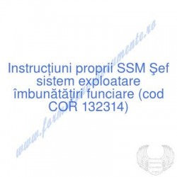 Şef sistem exploatare...