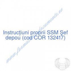 Şef depou (cod COR 132417)...