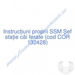 Şef staţie căi ferate (cod...