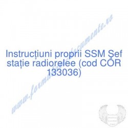 Şef staţie radiorelee (cod...