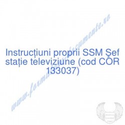 Şef staţie televiziune (cod...