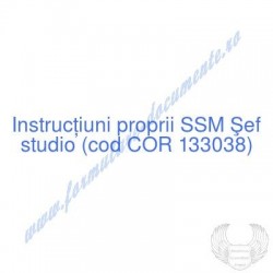 Şef studio (cod COR 133038)...