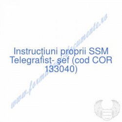Telegrafist- şef (cod COR...