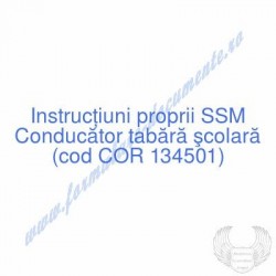 Conducător tabără şcolară...