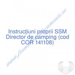Director de camping (cod...