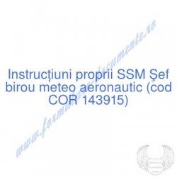 Şef birou meteo aeronautic...