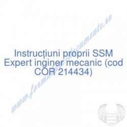 Expert inginer mecanic (cod...