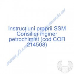 Consilier inginer...