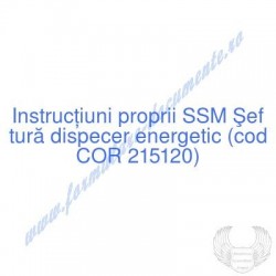 Şef tură dispecer energetic...