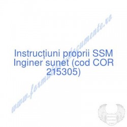 Inginer sunet (cod COR...
