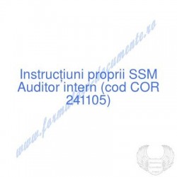 Auditor intern (cod COR...