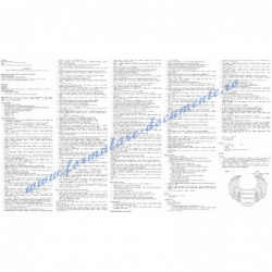 Designer pagini web (studii...
