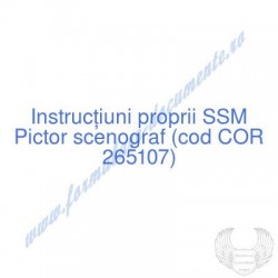 Pictor scenograf (cod COR...