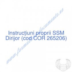 Dirijor (cod COR 265206) -...