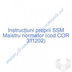 Maistru normator (cod COR...