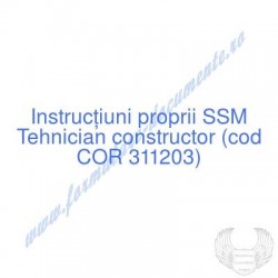 Tehnician constructor (cod...