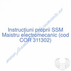 Maistru electromecanic (cod...