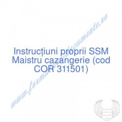Maistru cazangerie (cod COR...
