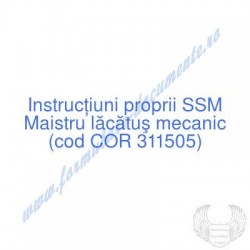 Maistru lăcătuş mecanic...