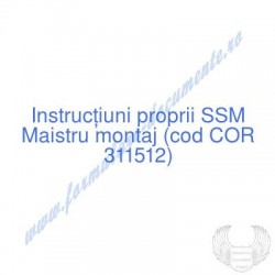 Maistru montaj (cod COR...