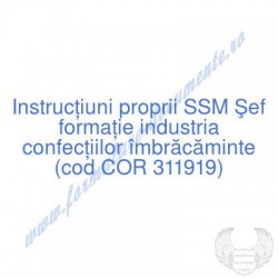 Şef formaţie industria...