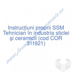 Tehnician în industria...