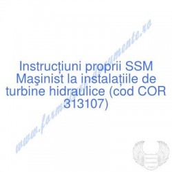 Maşinist la instalaţiile de...