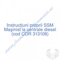 Maşinist la centrale diesel...