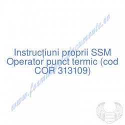 Operator punct termic (cod...