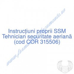 Tehnician securitate...