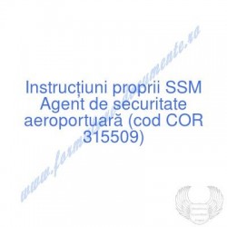 Agent de securitate...