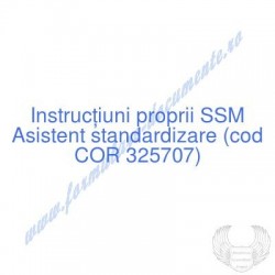 Asistent standardizare (cod...