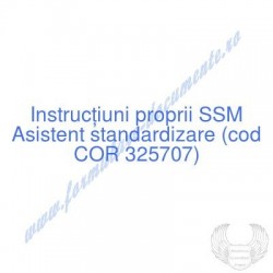 Asistent standardizare (cod...