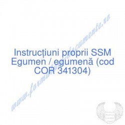 Egumen, egumenă (cod COR...