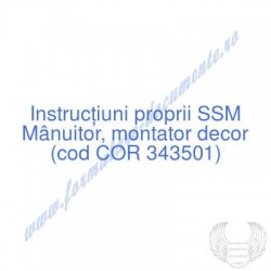 Mânuitor, montator decor...