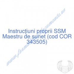 Maestru de sunet (cod COR...