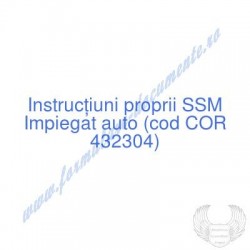 Impiegat auto (cod COR...