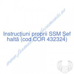 Şef haltă (cod COR 432324)...