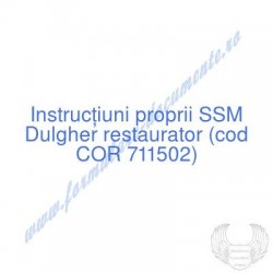 Dulgher restaurator (cod...