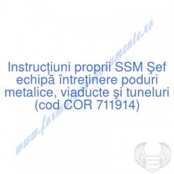 Şef echipă întreţinere...