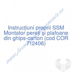 Montator pereţi şi plafoane...
