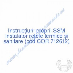 Instalator reţele termice...