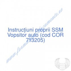 Vopsitor auto (cod COR...